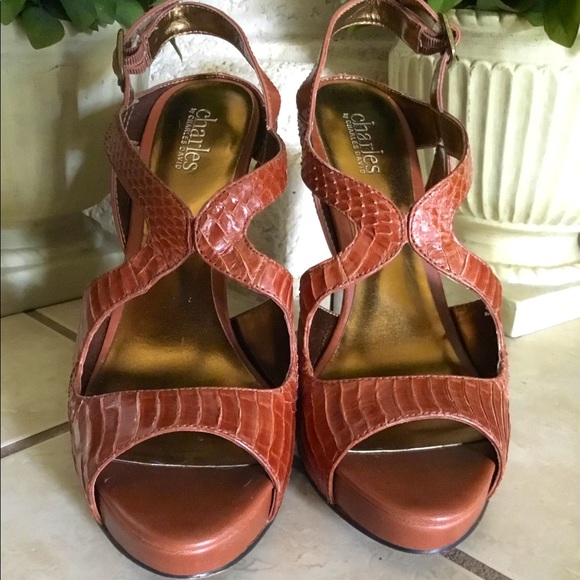🤎Charles David Tan/Rust Platform Heel - Picture 4 of 6